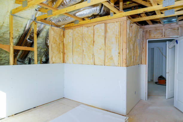 Best Insulation Maintenance and Repair in Carlyss, LA