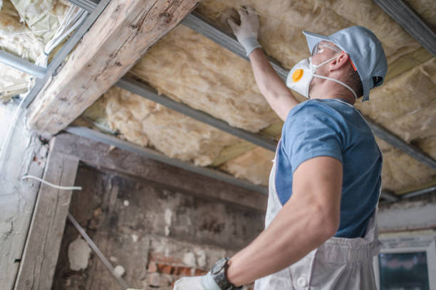 Best Specialty Insulation in Carlyss, LA